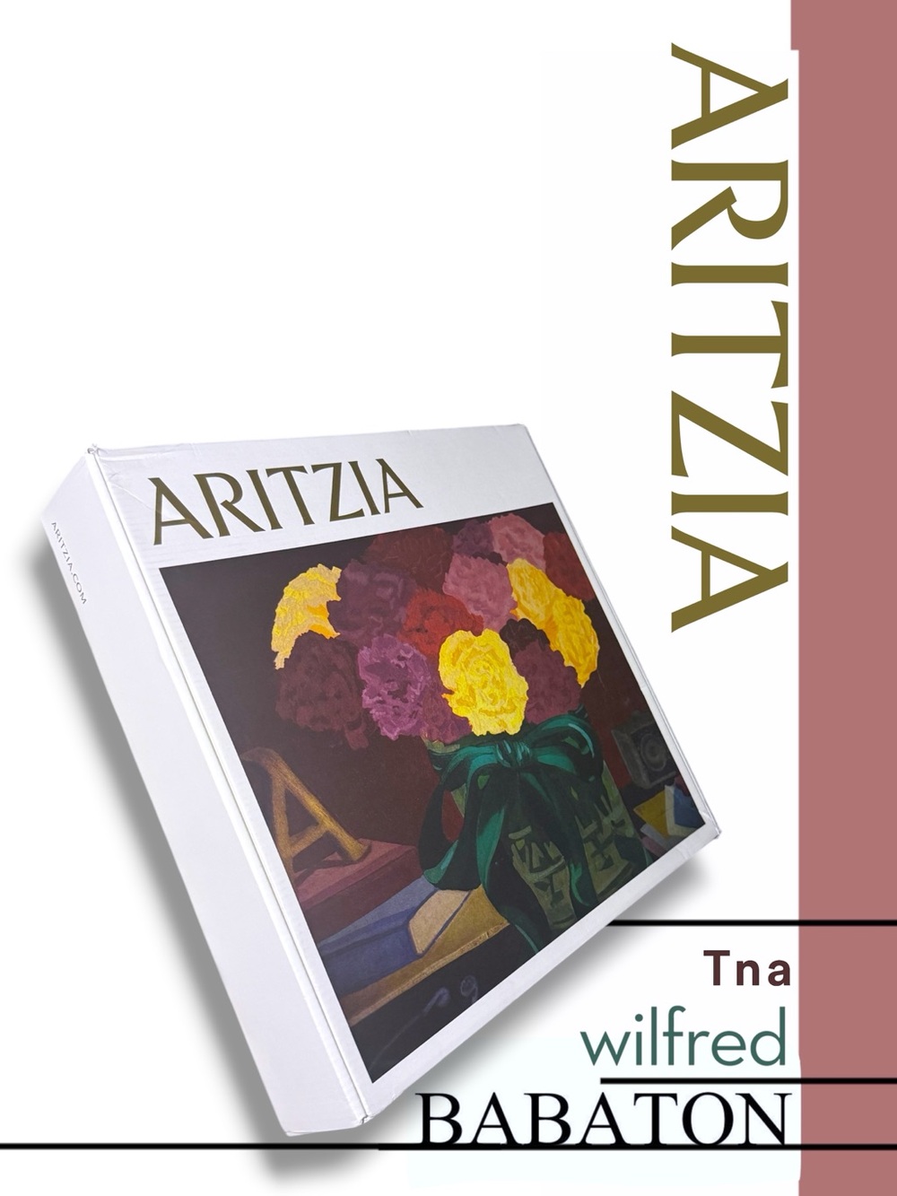 Aritzia Mystery Box Bundle + Gift Box | Size XS/S